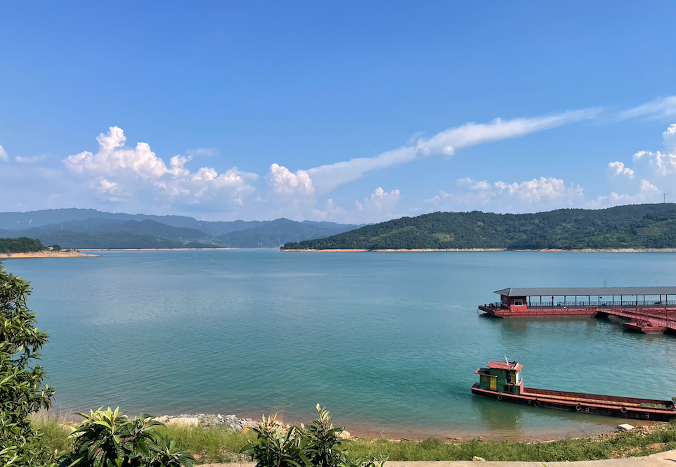 農(nóng)批市場項目全案策劃